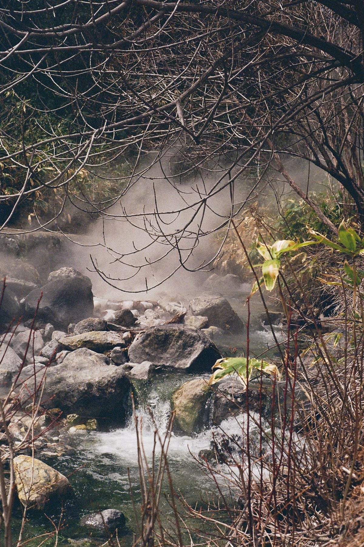 Shot on Fujifilm 200