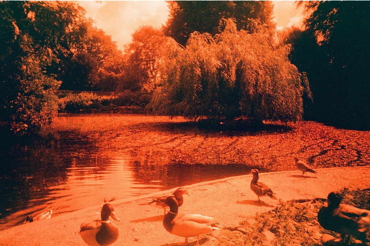 Shot by Phoebe in Plymouth, Saltram House