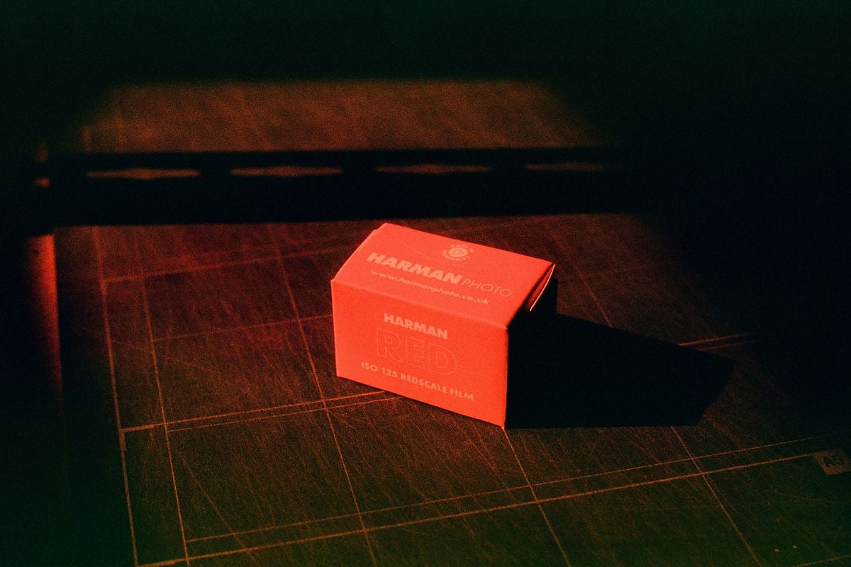 Harman Red, shot by team member Rosie