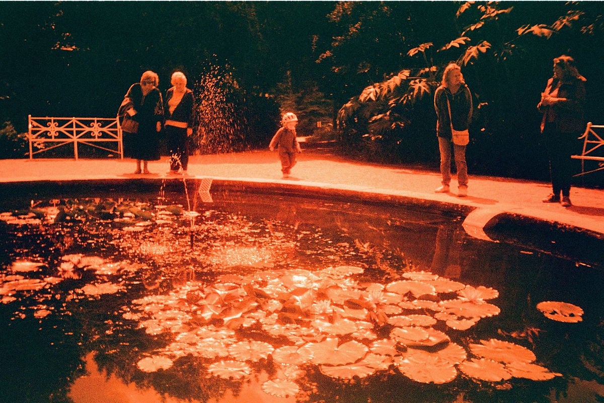 Shot by Phoebe in Plymouth, Saltram House