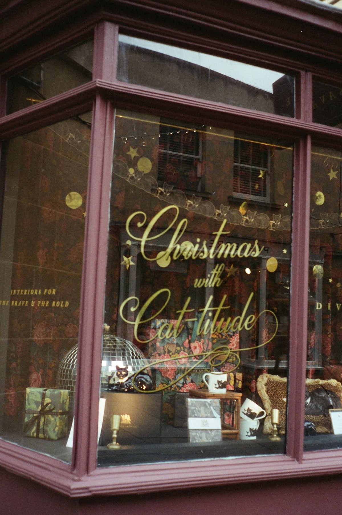 Shot by Kirsty Hill on CineStill 400