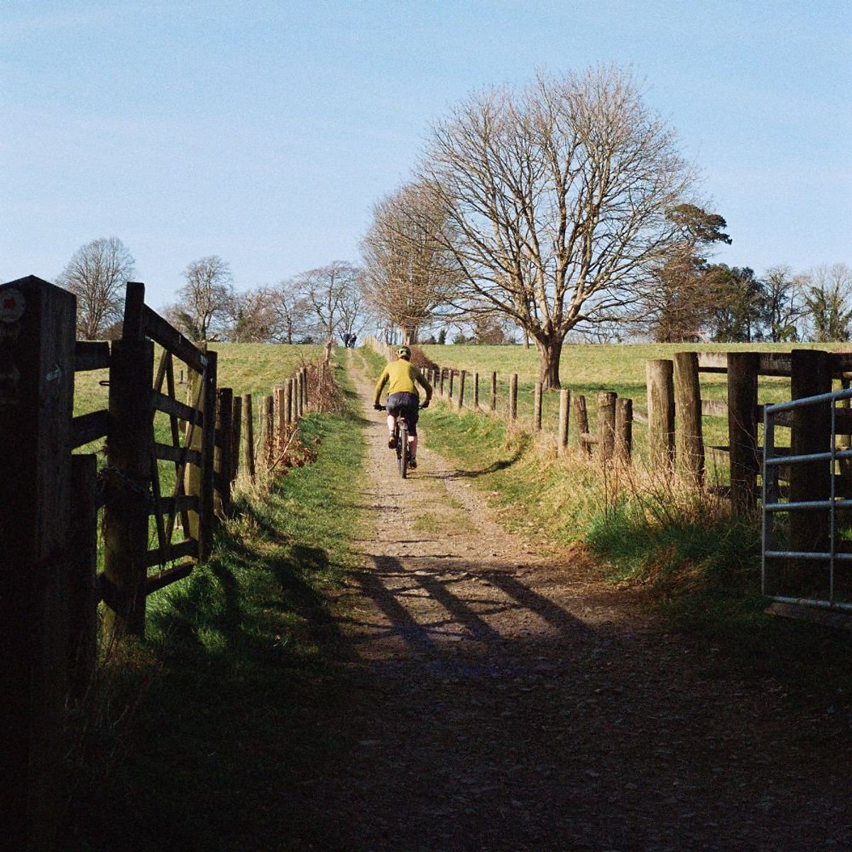 Shot on Kodak Portra 400