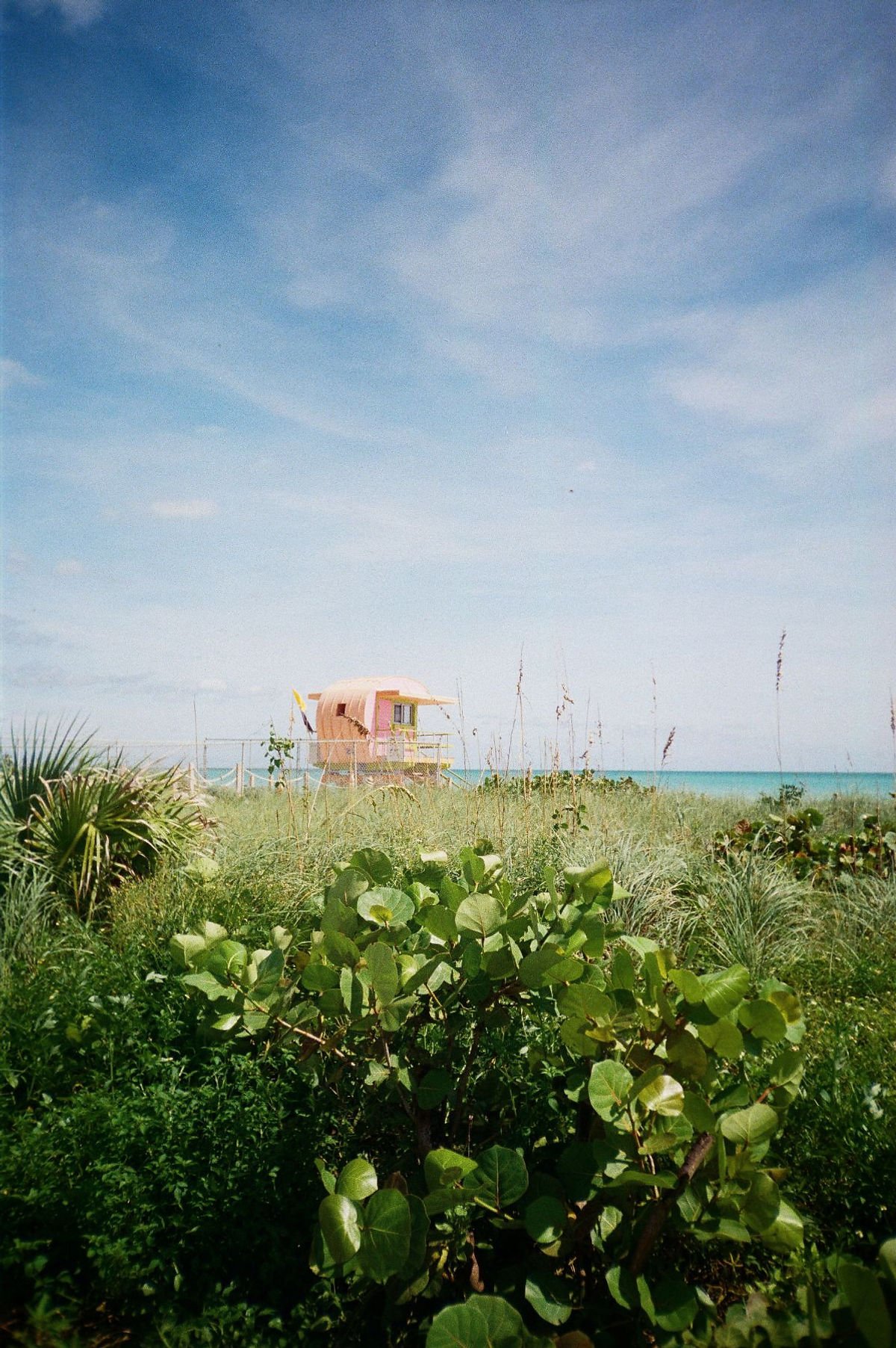 Shot on Kodak Portra 800