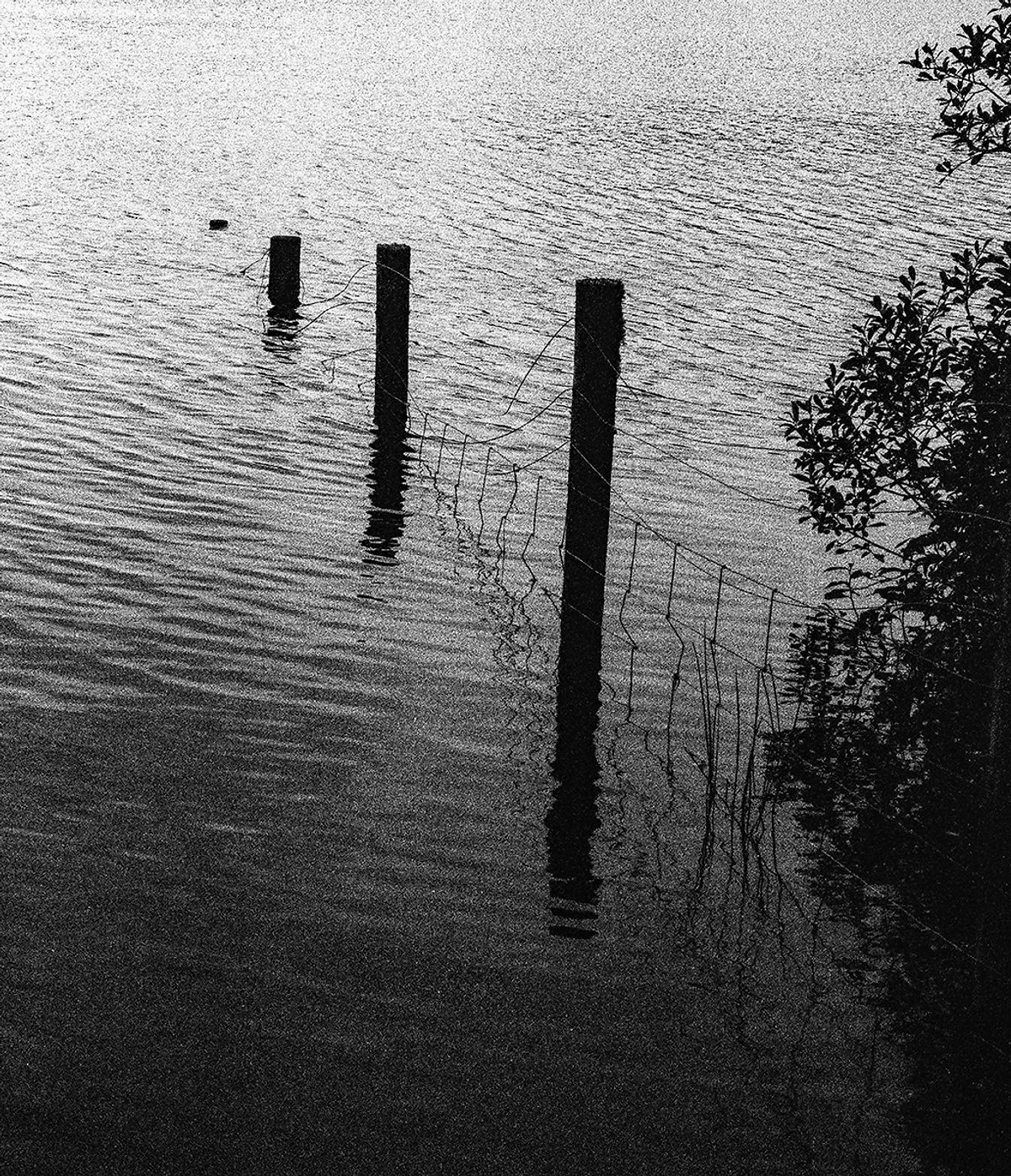 Fence flood plains by Arran