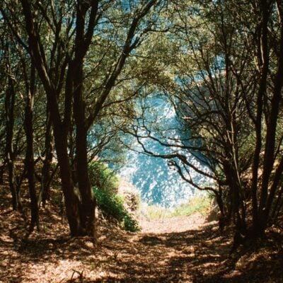 film photography 9